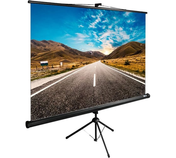 Изображение товара Напольный рулонный экран Cactus TriExpert 1:1, 160x160 см, черный CS-PSTE-160X160-BK 1019816