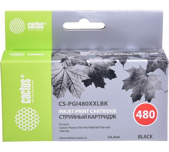 Изображение товара Струйный картридж для canon pixma tr7540/tr8540/ts6140/ts8140 Cactus черный 24.4 мл CS-PGI480XXLBK 1077837