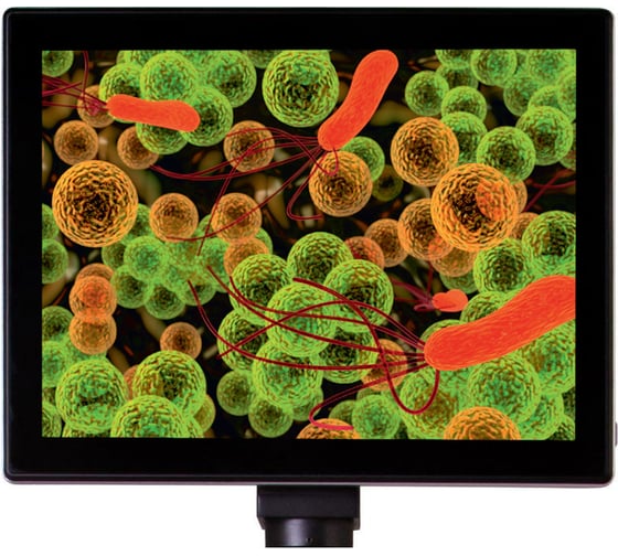 Изображение товара Камера цифровая MED 5 Мпикс с ЖК-экраном 9.4" для микроскопов Levenhuk 74246