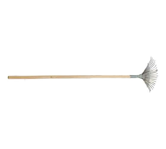 Изображение товара Грабли ООО Агростройлидер веерные проволочные 18-ти зубые порошковая окраска с черенком в САД-09.11.2