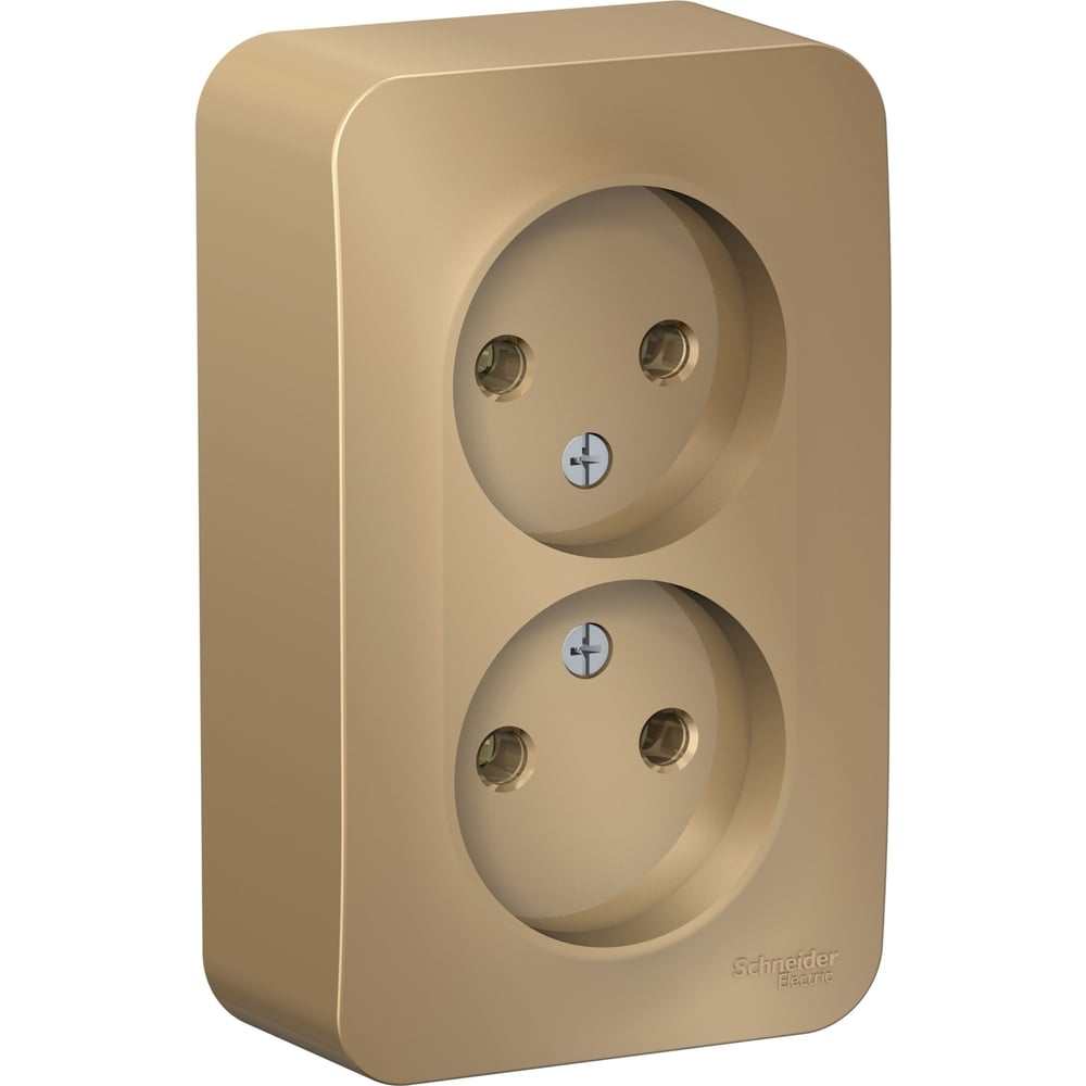 Изображение товара Розетка Systeme Electric Blanca о/у двойная без заземления 16А 250В титан