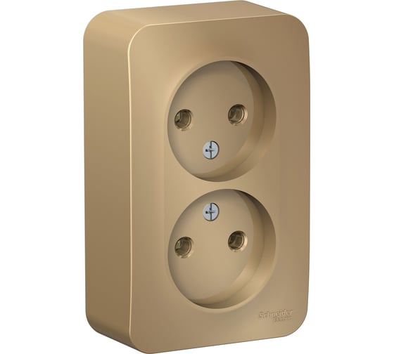 Изображение товара Розетка Systeme Electric Blanca о/у, двойная, без заземления, без штор., 16а, 250в, титан BLNRA000204