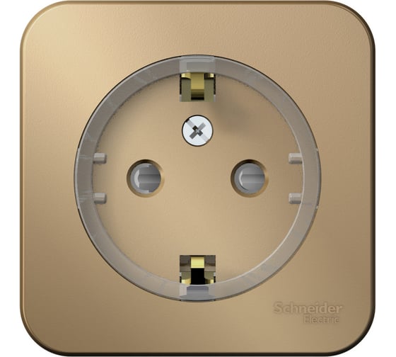 Изображение товара Розетка Systeme Electric Blanca о/у, с заземлением, со шторками, (компакт) изол.пл, 16а, 250в, титан BLNRA111114