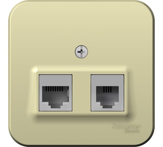 Изображение товара Двойная розетка: компьютерная rj45, кат.5e + телефонная rj11 Systeme Electric Blanca о/у, изол.пл., бежевый BLNIA045117