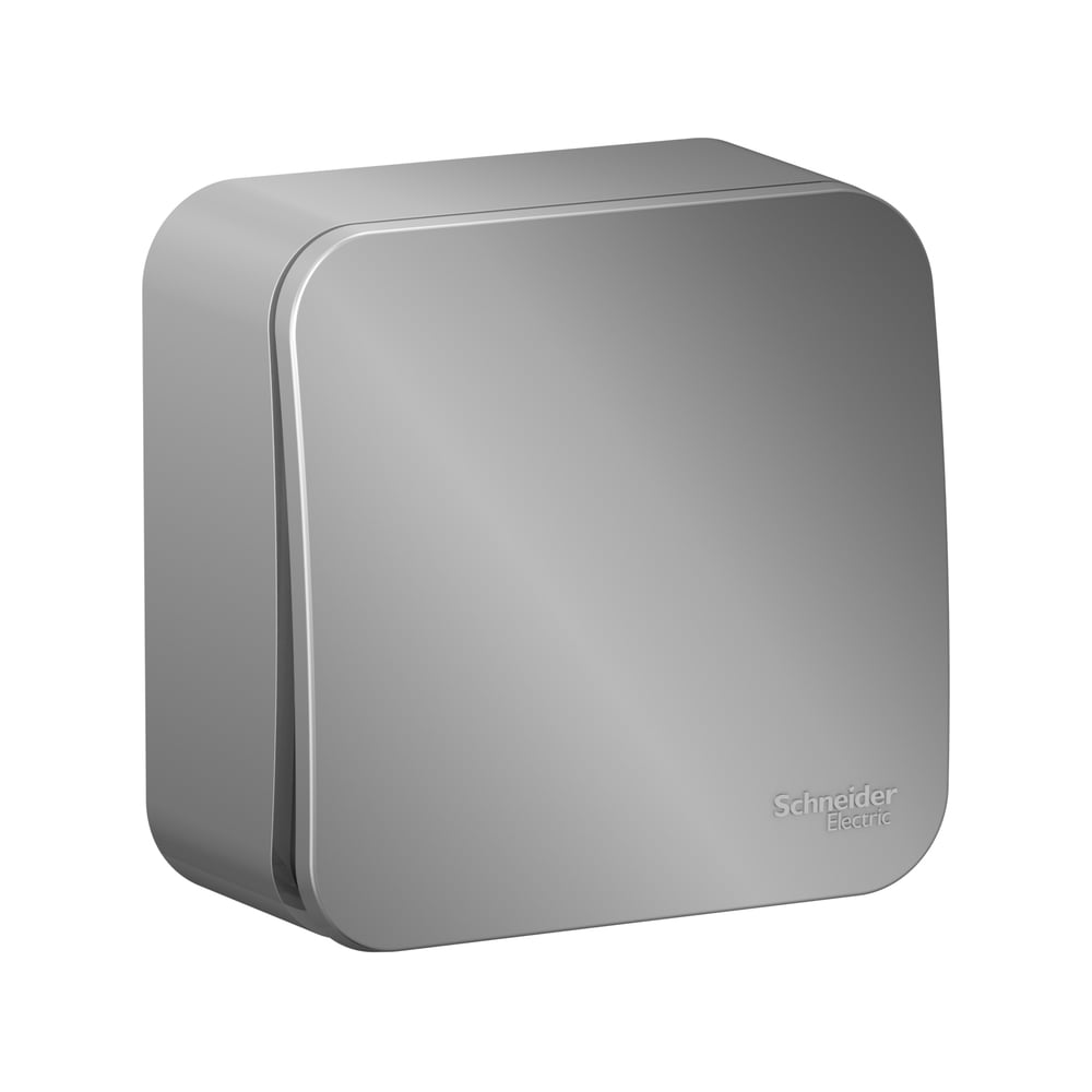 Изображение товара 1-клавишный выключатель Blanca открытой установки 10А алюминий Systeme Electric