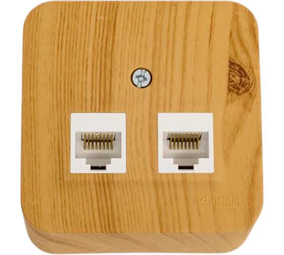 Изображение товара Двойная компьютерная розетка Systeme Electric Blanca открытой установки, rj45, кат.5e, изолирующая пластина, ясень BLNIA045455