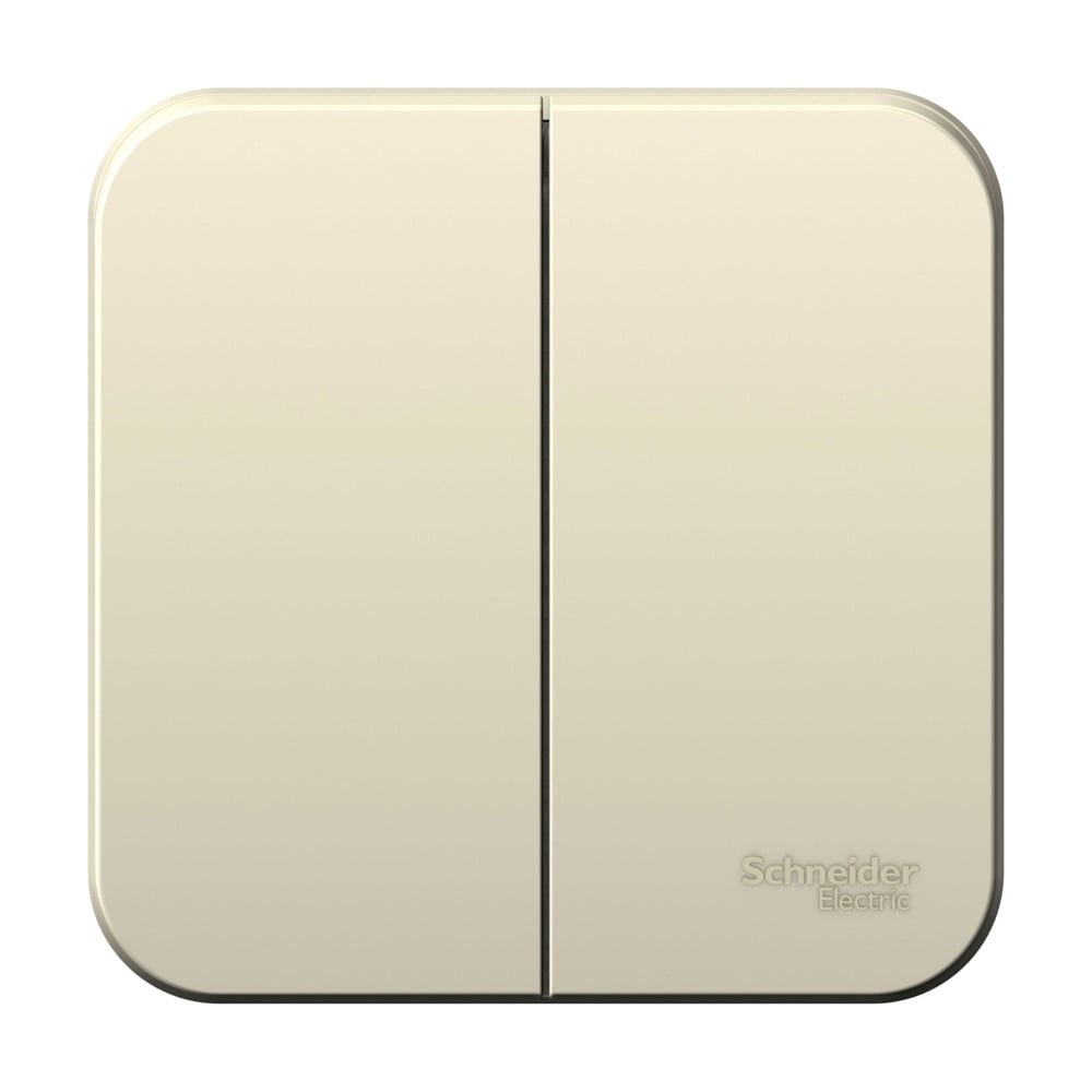Изображение товара 2-клавишный выключатель Systeme Electric Blanca открытой установки 6А 250В молочный
