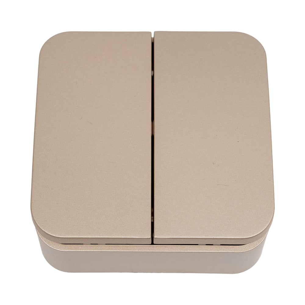 Изображение товара 2-клавишный выключатель Systeme Electric Blanca открытого монтажа 10А 250В титан