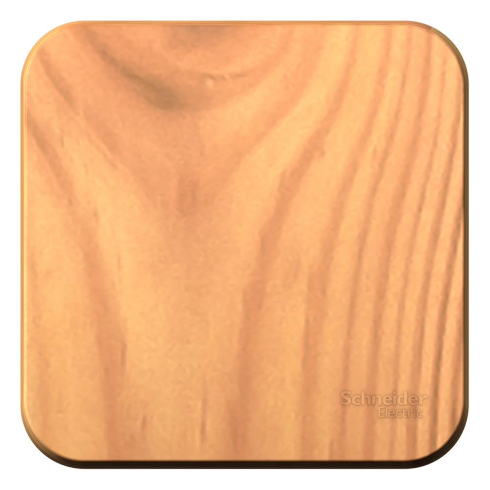 Изображение товара Одноклавишный выключатель Blanca открытая установка 10А ясень Sistema Electric