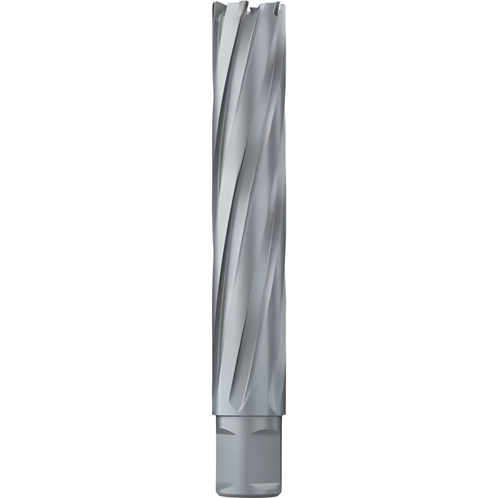 Изображение товара Сверло кольцевое 100х100 мм, tct, Weldon 32 EUROBOOR HMX.1000