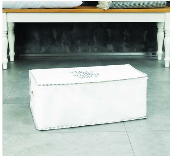 Изображение товара Кофр для хранения с ручками Econova COSY 650x450x240 мм, 70 л, белый 411419516