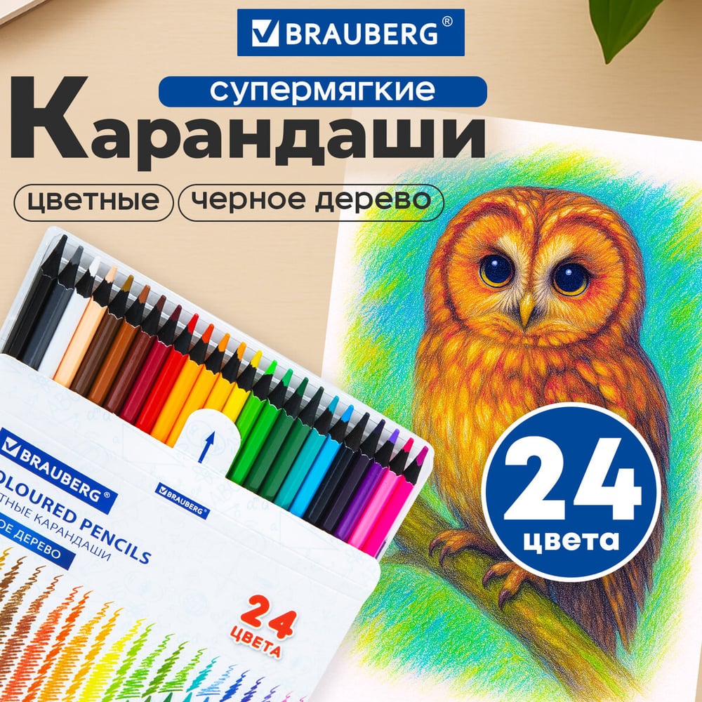 Изображение товара Цветные карандаши BRAUBERG 24 цвета, мягкий грифель 3.3 мм