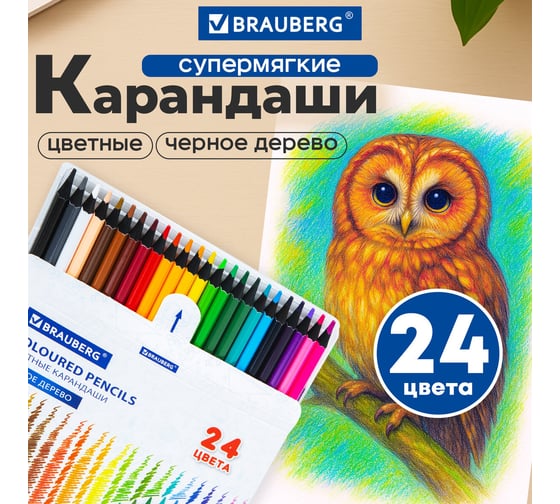 Изображение товара Цветные карандаши BRAUBERG 24 цвета, черное дерево, грифель мягкий 3.3 мм 181858