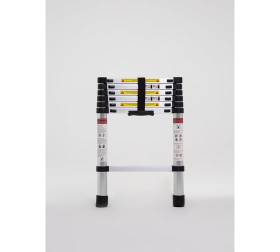 Изображение товара Телескопическая лестница WORKY 2.2 м, 6 ступеней ARD128085