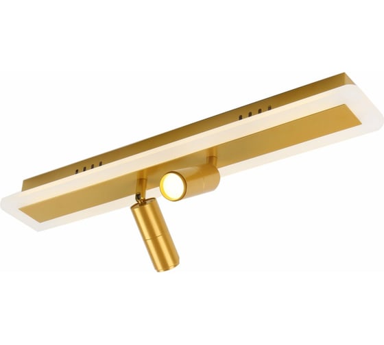 Изображение товара Спот ARTE LAMP TOMMY A2607PL-22GO