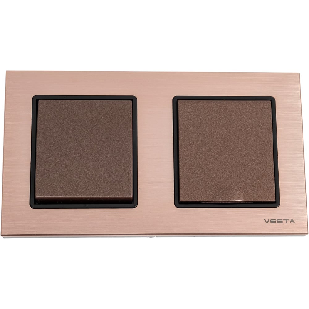 1-клавишный выключатель + розетка с заземлением с крышкой Vesta Electric Комплект-2, Exclusive Champagne FRM050207BSH