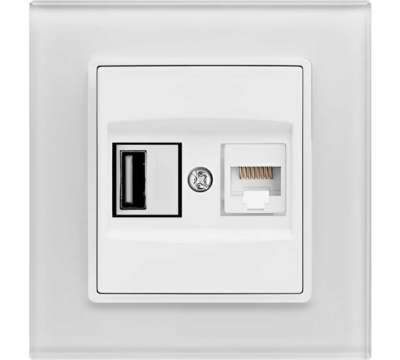 Изображение товара Розетка Vesta Electric Exclusive White для USB + сетевого кабеля LAN FRZ00050504BEL