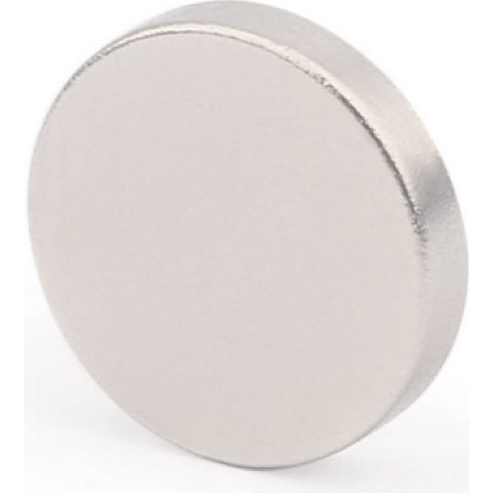 Неодимовый магнит диск Forceberg магнит неодимовый диск 25x3 см