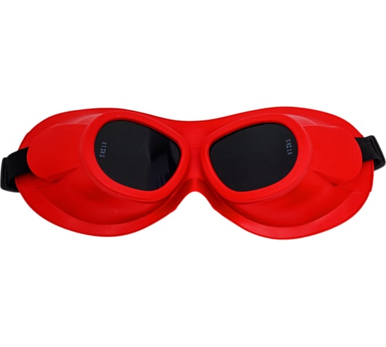 Изображение товара Защитные очки РОСОМЗ ЗН18 DRIVER RIKO 5 21831 закрытые, с непрямой вентиляцией