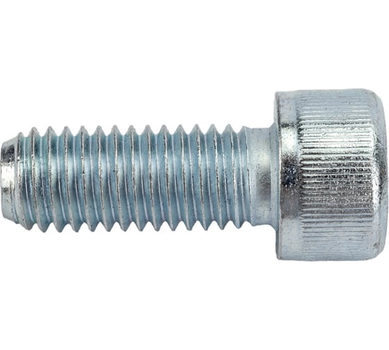 Изображение товара Винт с внутренним шестигранником МЕТАЛЛСЕРВИС М10x25, DIN 912, цинк, 10 шт. 1239718