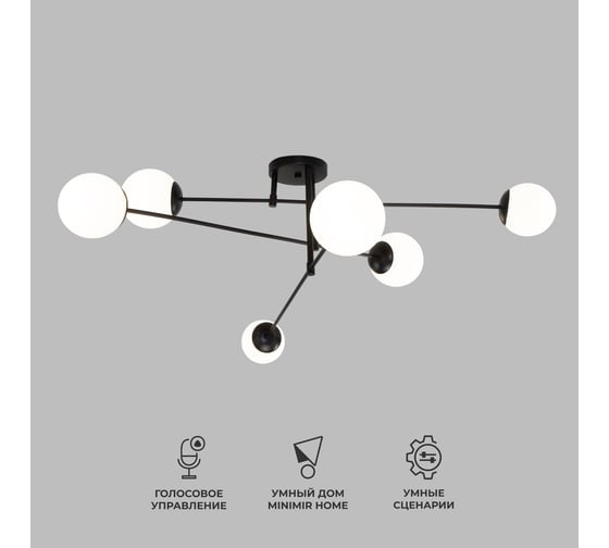 Изображение товара Потолочный светильник Eurosvet 30181/6 черный a062214