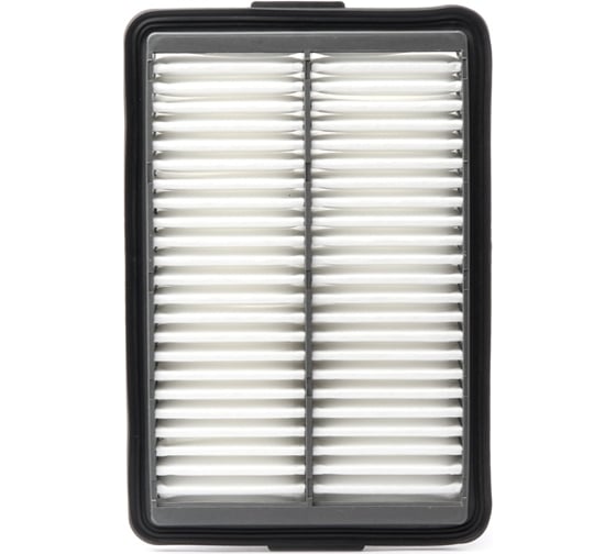 Изображение товара Фильтр воздушный DFA1014 Double Force 1738482