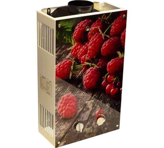 Изображение товара Газовый проточный водонагреватель WERTRUS 10EG BERRY W1407