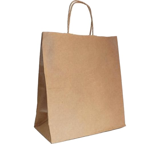 Изображение товара Пакет ООО Комус бумажный 220x120x250 мм, с кручеными ручками, крафт 70 гр, 250 штук/упаковка 1702039