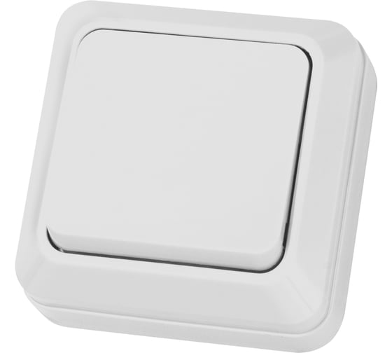 Изображение товара Одноклавишный выключатель TDM ELECTRIC открытой установки 10А белый Ладога SQ1801-0001