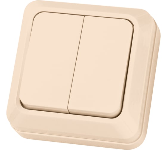 Изображение товара Двухклавишный выключатель TDM ELECTRIC открытой установки, слоновая кость Ладога TDM ELECTRIC SQ1801-0004