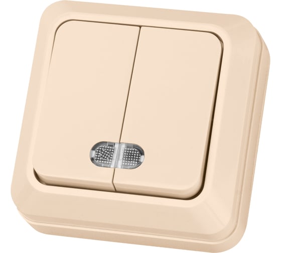 Изображение товара Двухклавишный выключатель TDM ELECTRIC открытой установки с подсветкой, слоновая кость Ладога SQ1801-0008
