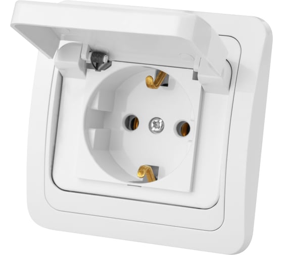 Изображение товара Розетка с крышкой, белая 2П+З 16А TDM ELECTRIC Валдай SQ1804-0011