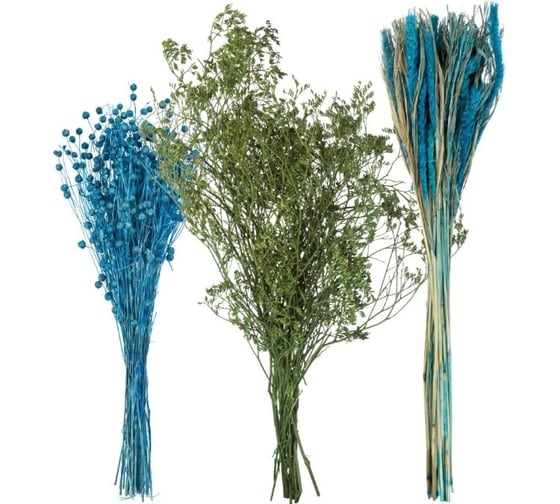 Изображение товара Набор из сухоцветов для составления букетов Стильный Дом из 3 культур, лен синий, могар синий, кермек зеленый 74204