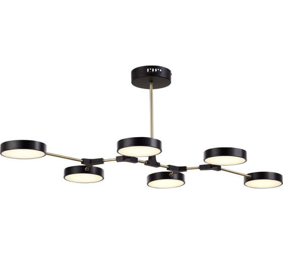 Изображение товара Люстра на штанге Evoluce MONTA SLE6004-402-06