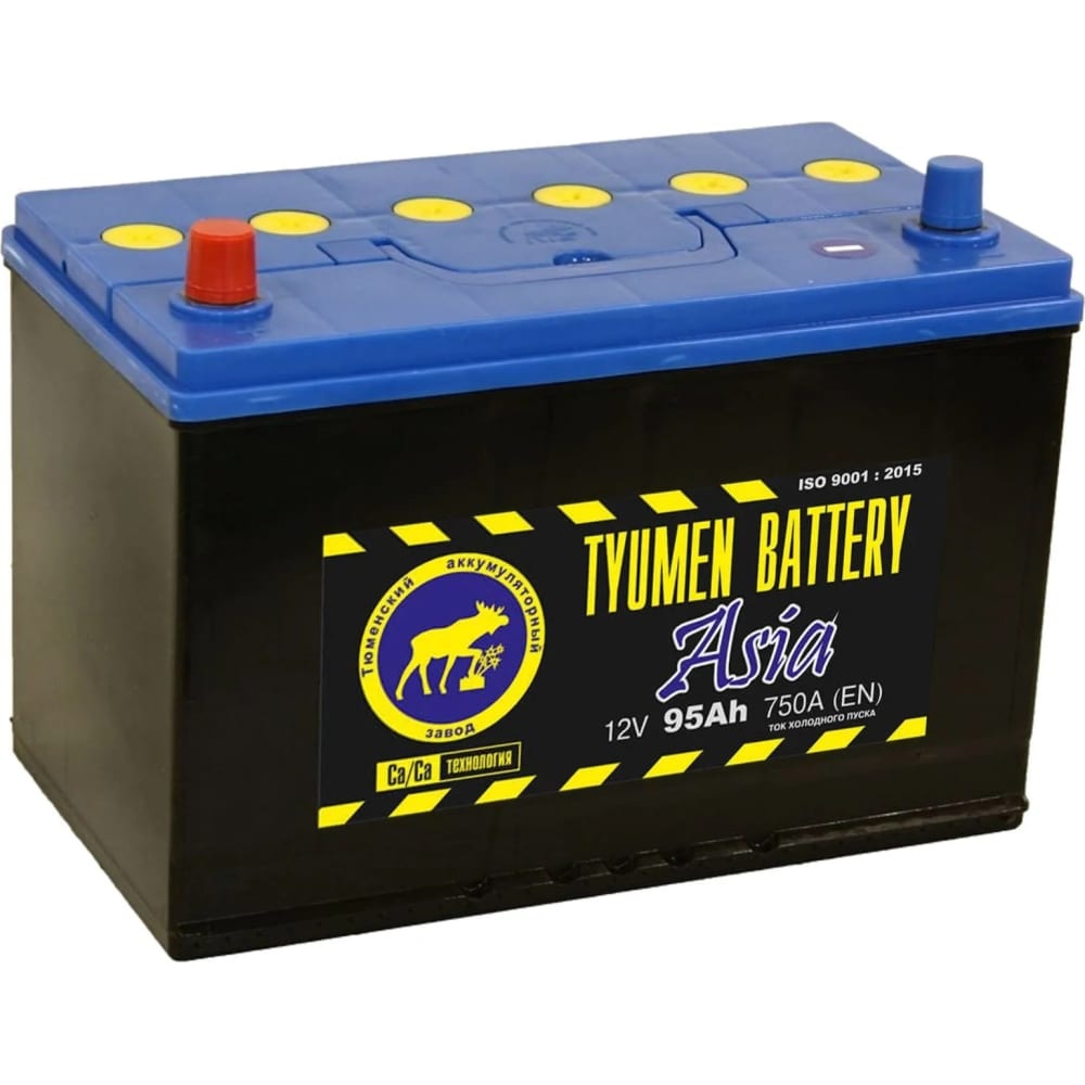 Аккумуляторная батарея TYUMEN BATTERY