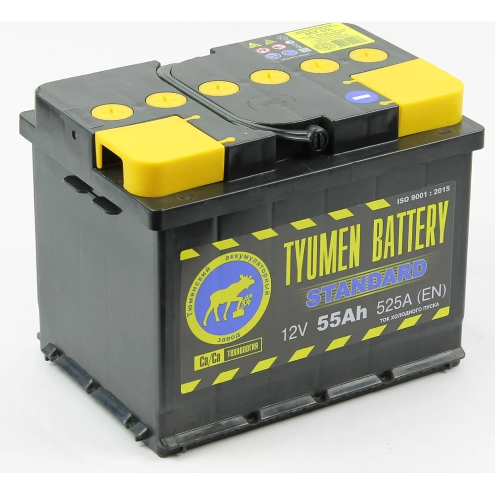 Аккумуляторная батарея TYUMEN BATTERY