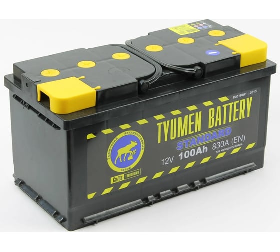 Изображение товара Аккумуляторная батарея TYUMEN BATTERY Тюмень standard 6ст -100.1 l TNS100.1