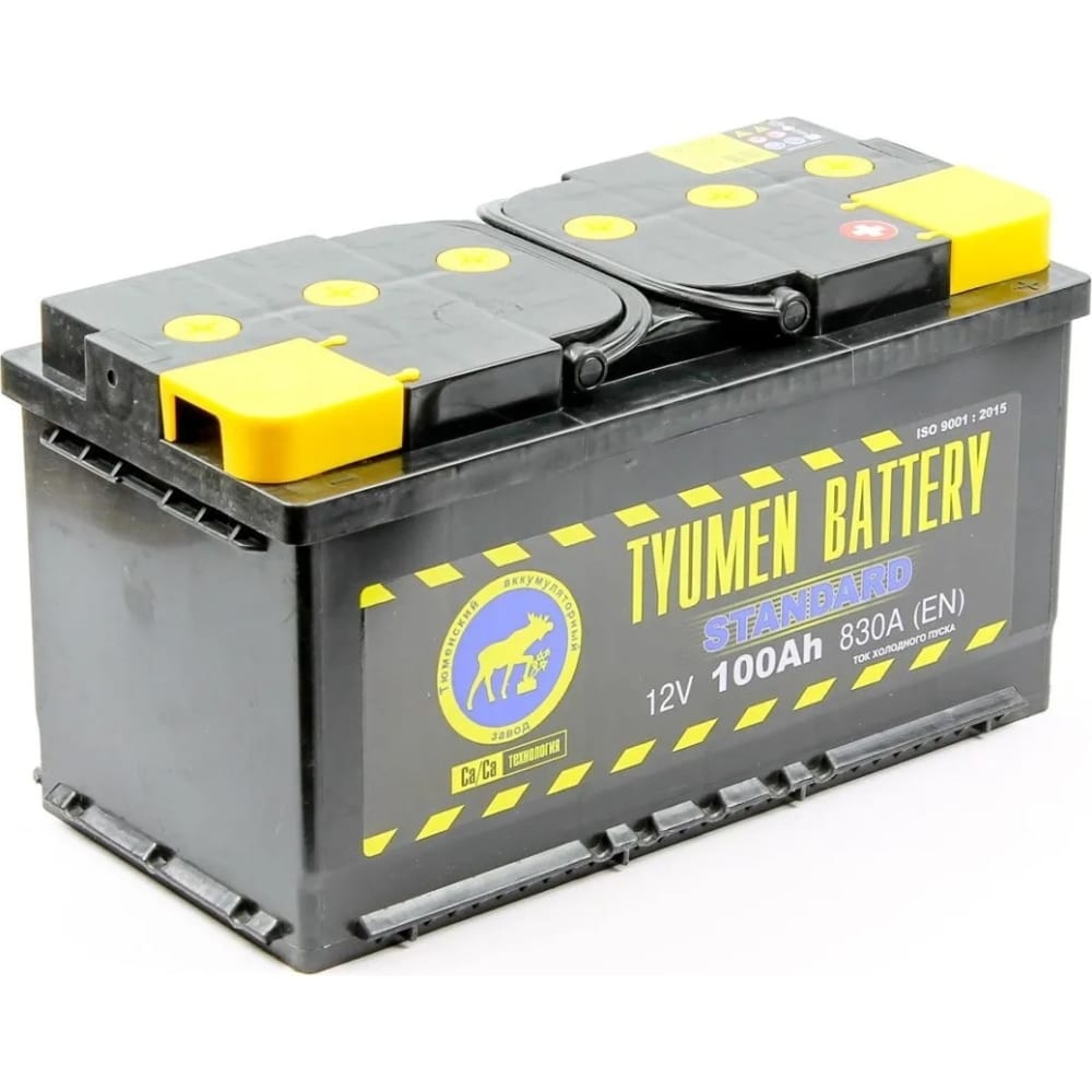 Аккумуляторная батарея TYUMEN BATTERY автомойка аккумуляторная karcher k2 battery подарок