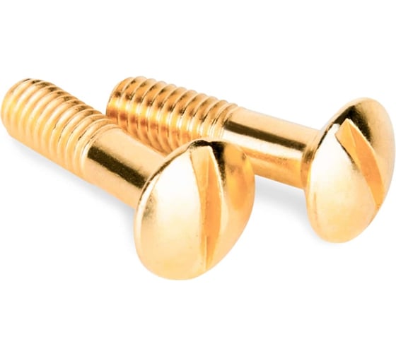 Изображение товара Винты для распределительной коробки/TV розетки WERKEL ретро, золото, 2 шт. a038396