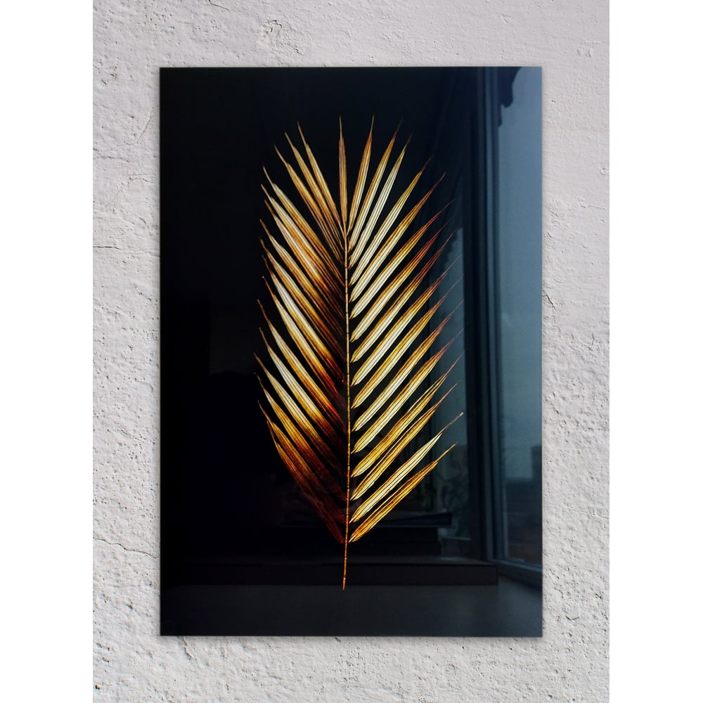 картина на стекле листья пальмы 30x30 см Картина на стекле для интерьера на стену ООО Оптион