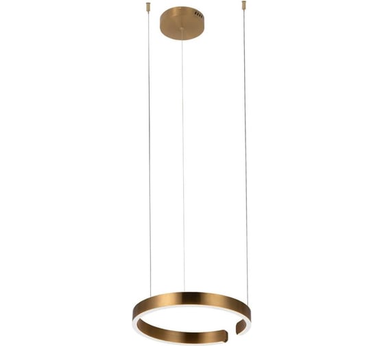 Изображение товара Подвесной светильник LOFT IT Ring 10013S