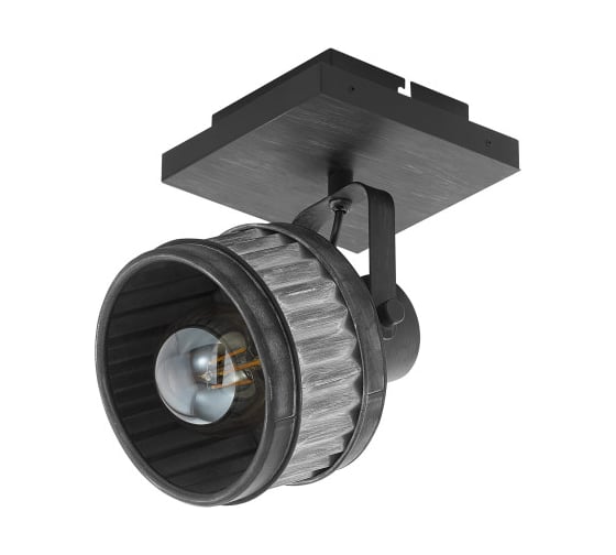 Изображение товара Спот Eglo TURROCK 43444