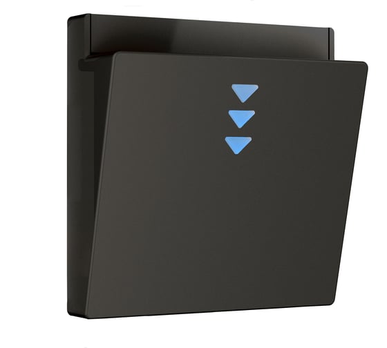 Изображение товара Накладка для электронного карточного выключателя WERKEL черный матовый a062006