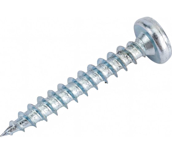 Изображение товара Универсальный шуруп ЕВРОПАРТНЕР полукруглая головка, zn, 4,5x30 25 шт. 14 1199 1