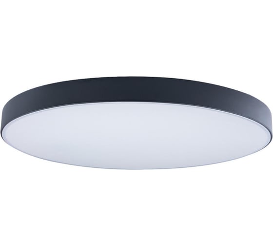 Изображение товара Накладной светильник LOFT IT Axel 1 10002/48 Black