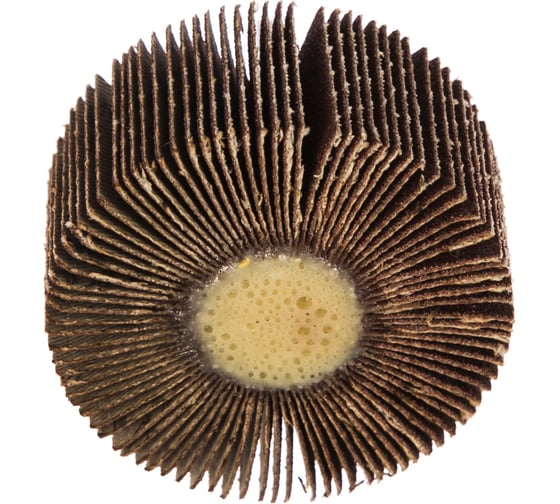 Изображение товара Круг лепестковый с оправкой (60х30 мм; P120) ПРАКТИКА 649-066