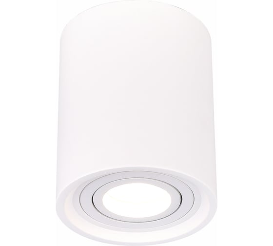 Изображение товара Накладной светильник ST luce ST156.502.01