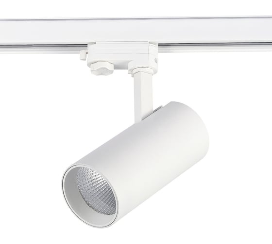 Изображение товара Светильник на штанге ST luce ST661.536.30