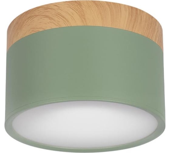 Изображение товара Накладной светильник LOFT IT Grape 10162 Green