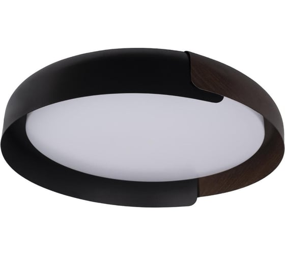 Изображение товара Накладной светильник LOFT IT Coin 10198 Black